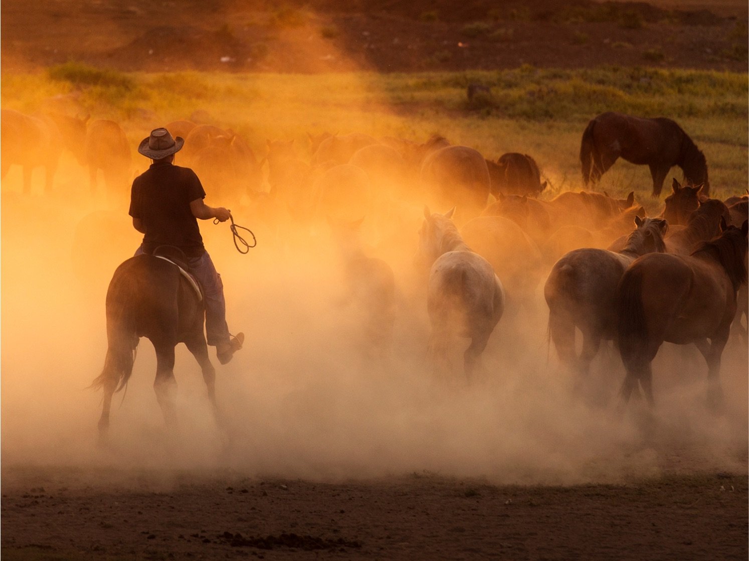 Agtrucktrader pro rodeo team official site