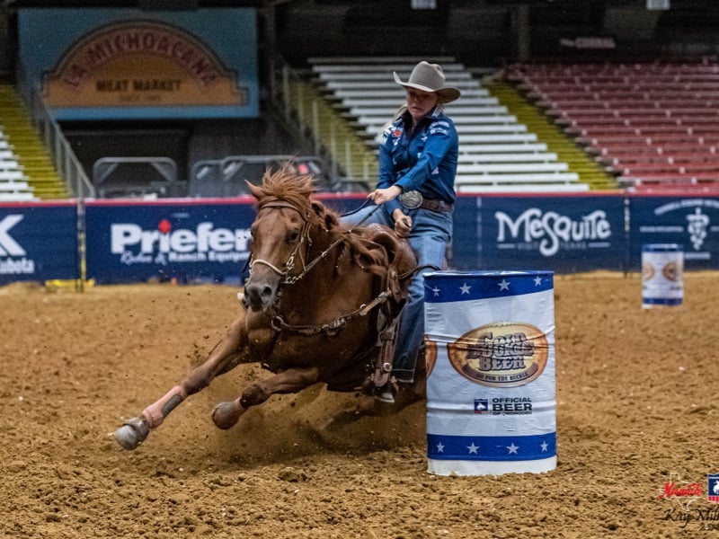 Pro Rodeo 101